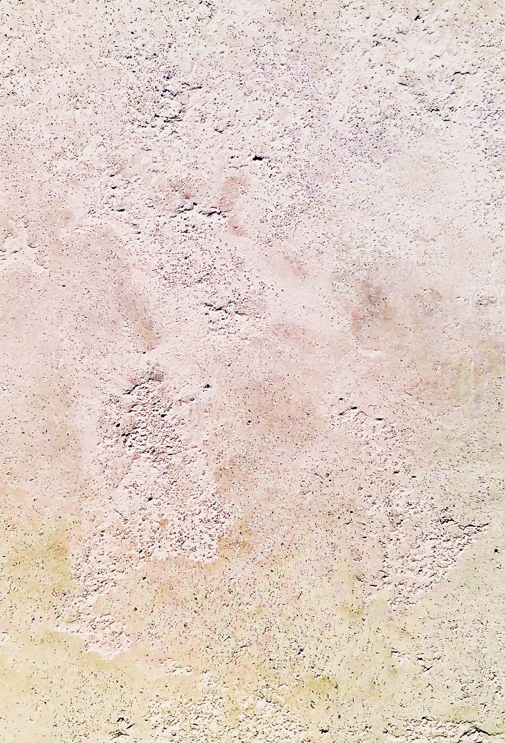 Carrera Lime Plaster ALABASTER W/ REFINED GOLD LIME PAINT Carrera Lime Plaster ALABASTER W/ REFINED GOLD LIME PAINT